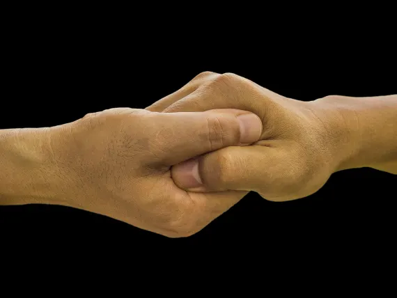 Arlekin Casino Soporte